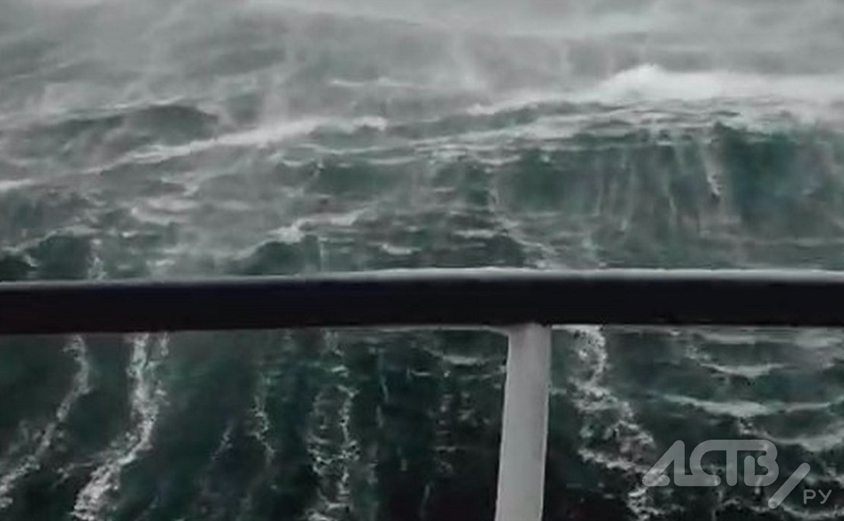 Сахалинские моряки и попугай Кеша на рыболовном судне попали в мощный шторм – видео
