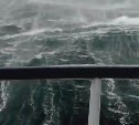 Сахалинские моряки и попугай Кеша на рыболовном судне попали в мощный шторм – видео