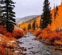 Синоптики спрогнозировали дожди в южных районах Сахалина