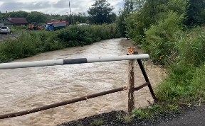 Общество