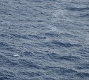 Стал известен список членов экипажа пропавшего в Японском море сахалинского судна