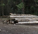 Технопарк по переработке леса появится на Сахалине