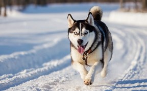 Гороскоп