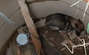 Общество