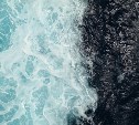 На рыбокомбинате "Островной" погиб сотрудник при выполнении промысловых работ