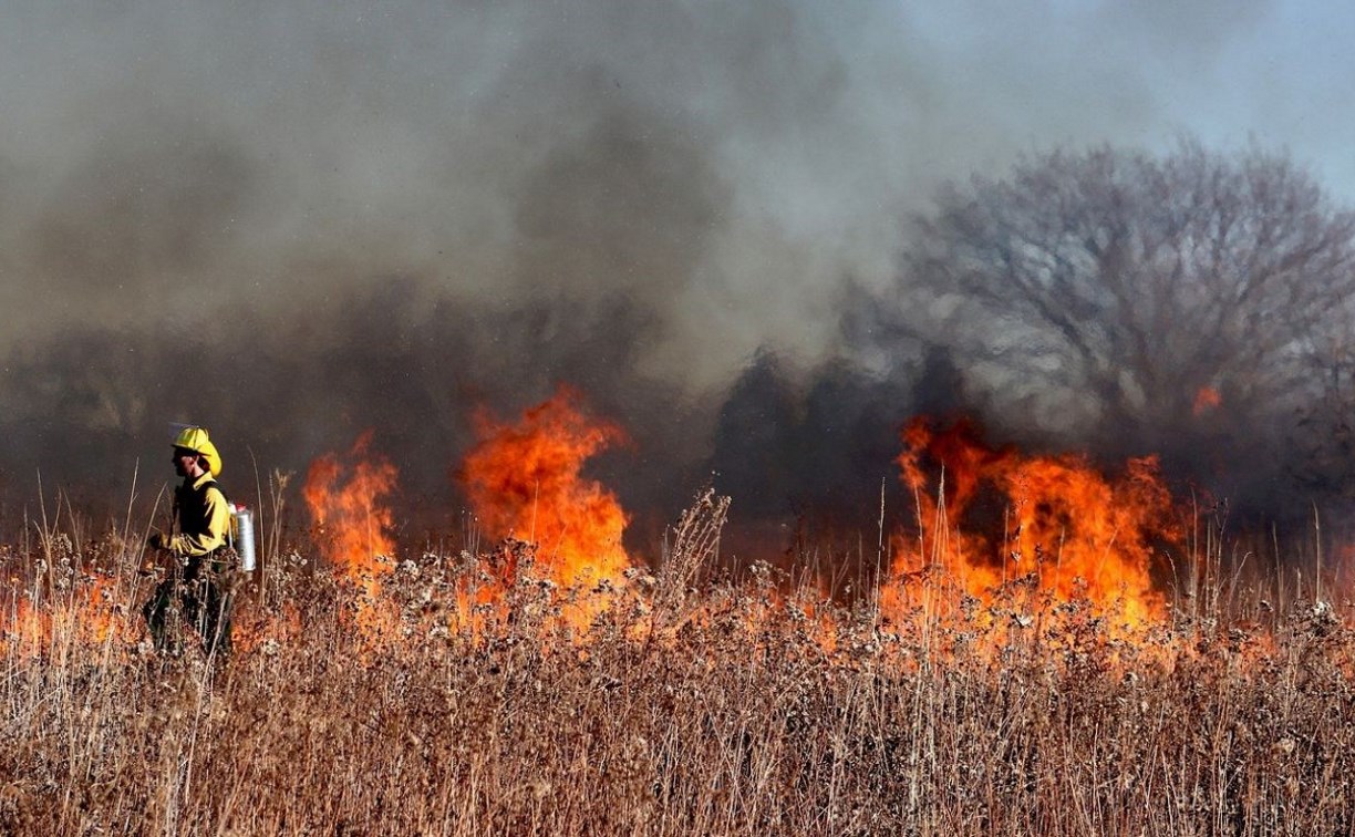 Огонь уничтожил гектар сухой травы в селе Троицком