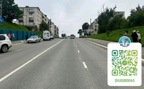 Общество