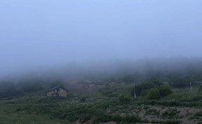 Общество