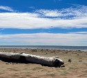  До +27° в центральной части, на юге дожди: погода на Сахалине и Курилах на ближайшие 7 дней 