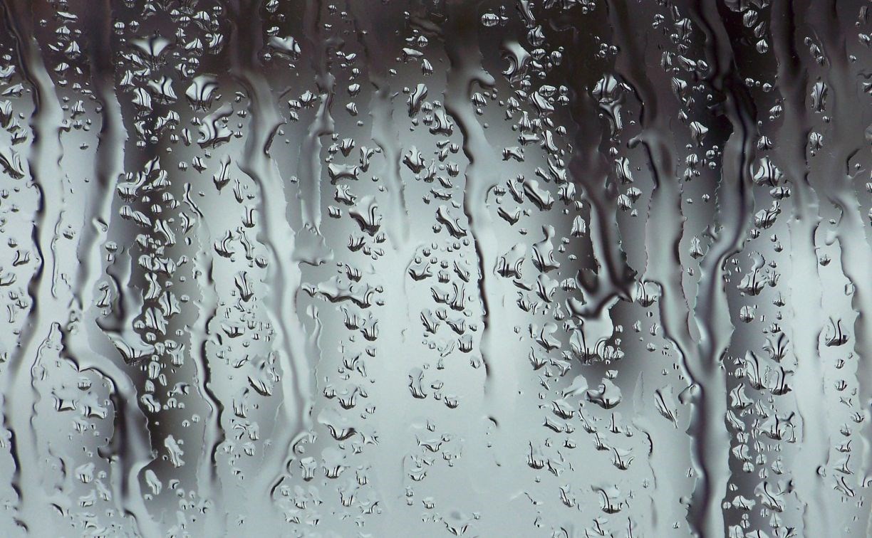 Циклон смещается: ливень и метель ждут в нескольких районах Сахалина 19 ноября
