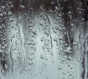 Циклон смещается: ливень и метель ждут в нескольких районах Сахалина 19 ноября