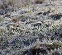 Одним дождь, другим снег: какой будет погода в районах Сахалинской области 11 марта