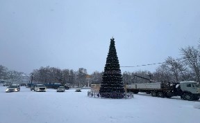 Общество