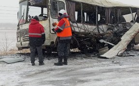 Происшествия