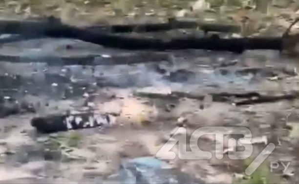 Развели костер и разворошили урну: южносахалинские подростки атаковали детскую площадку
