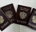 Ошибки в анкетах на Госуслугах могут закрыть сахалинцам выезд за границу