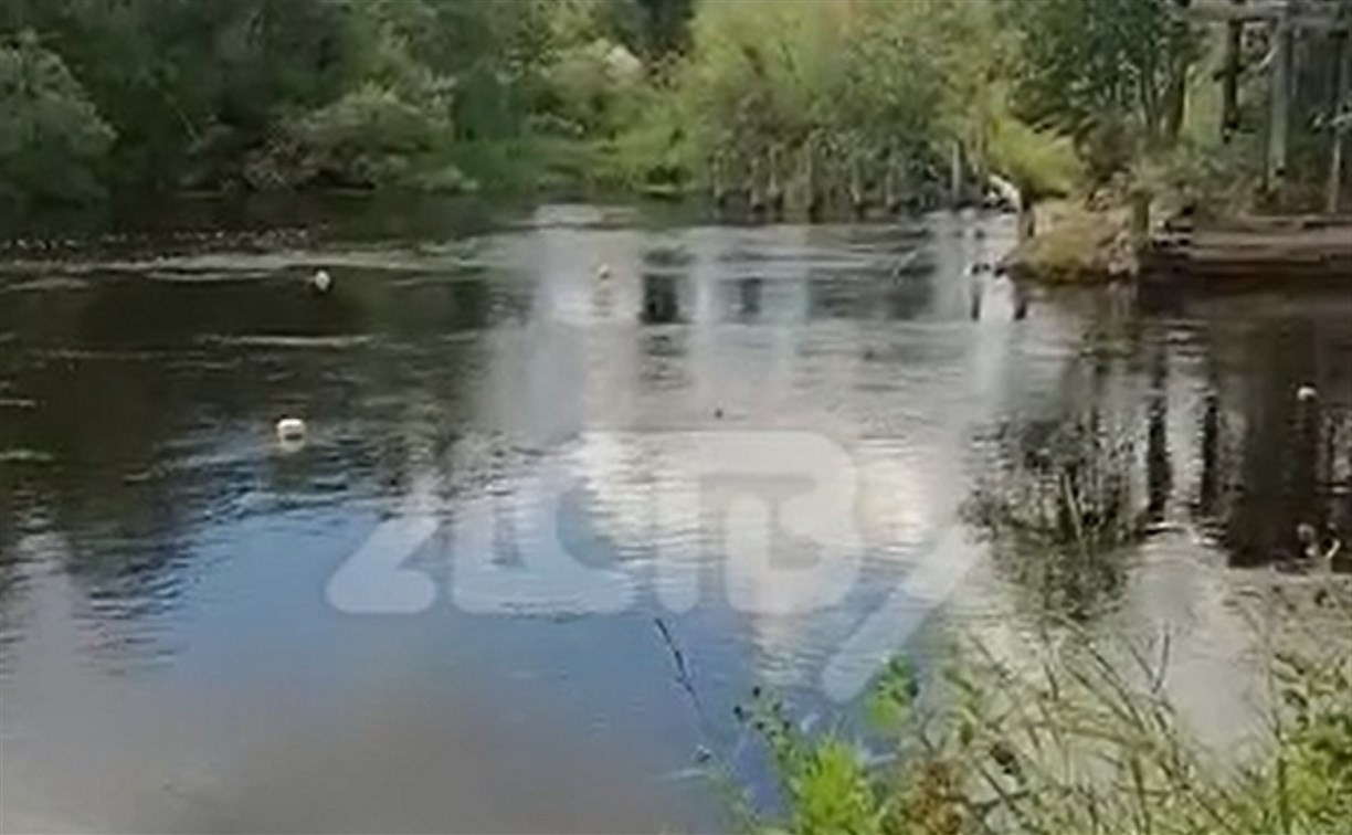 Самоуверенный браконьер на Сахалине установил в реке стационарную сеть прямо у дороги