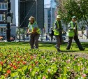 Более 7 тысяч цветов высадили на Коммунистическом проспекте в Южно-Сахалинске
