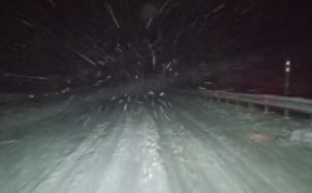 Общество