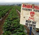 Пестициды выявили на 10 гектарах земли в Анивском районе