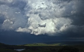 Общество