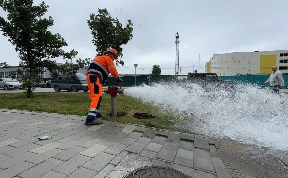Общество
