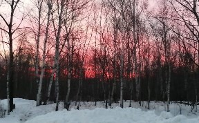 Происшествия