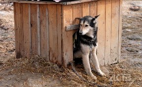 Общество