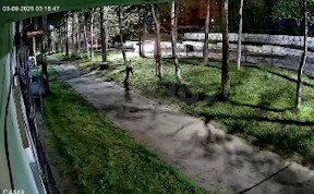 Общество