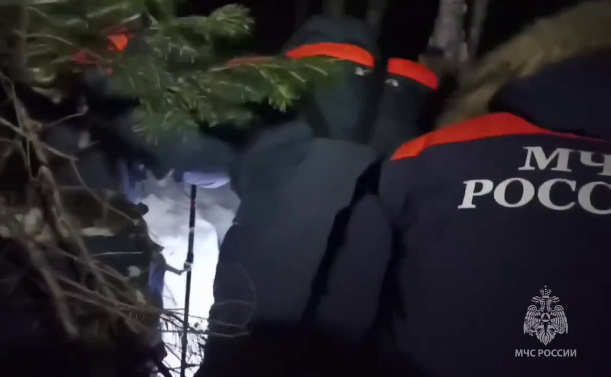 "Сидел и ждал, когда его спасут": появилось еще одно видео с поисков замерзающего в лесу на Сахалине мужчины