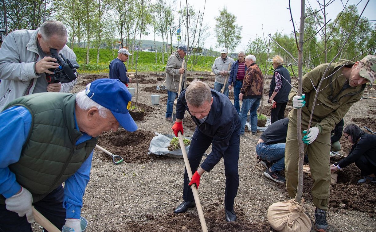Южно-Сахалинск присоединился к масштабной акции "Сад памяти"