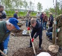 Южно-Сахалинск присоединился к масштабной акции "Сад памяти"