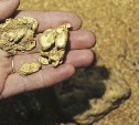 Около 200 кг золота добыли на Сахалине в первом квартале 2017 года 