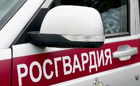 Происшествия