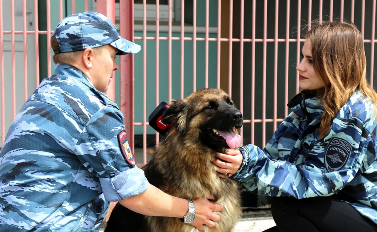 Лохматые полицейские и кинологи Сахалина празднуют профессиональный праздник