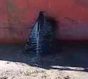 Мазут разлился в море после столкновения китайского и российского судов у берегов Сахалина