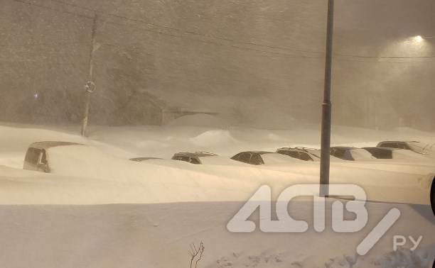 Режим ЧС из-за мощного циклона объявили во всей Сахалинской области