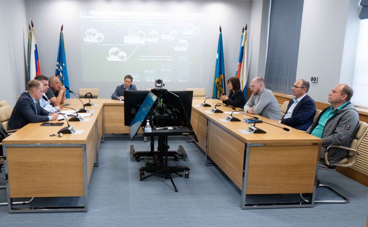 В центре Южно-Сахалинска готовят пилотный проект платной парковки: власти выслушали мнения организаций