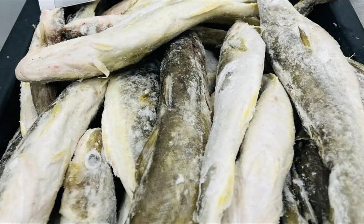 Где сегодня купить свежую рыбу в Южно-Сахалинске по доступной цене — список