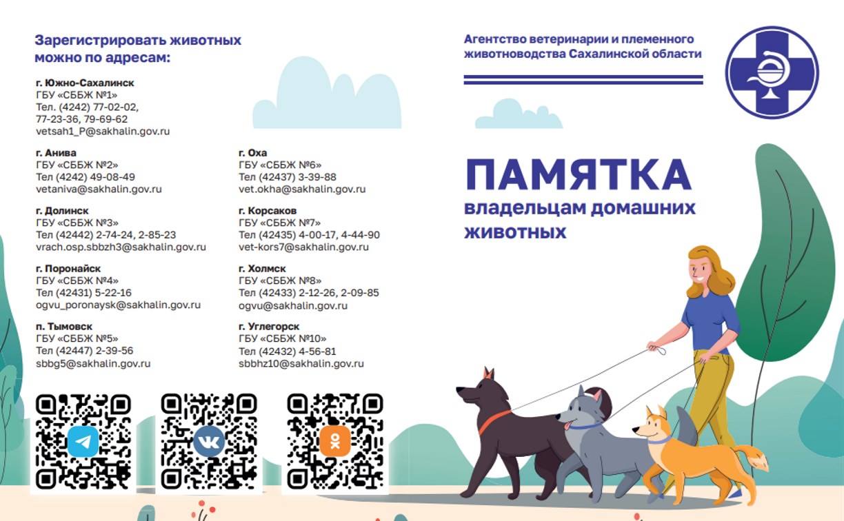 Самовыгул запрещен, необходима регистрация: сахалинцам напомнили о правилах содержания домашних животных