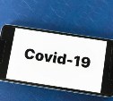 Еще 64 человека с COVID-19 выявили сегодня на Сахалине