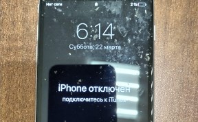Общество
