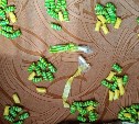 У сахалинца под пледом на кресле нашли 99 закладок с наркотиками