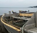 Ещё один район Сахалина приступил к массовой добыче мойвы