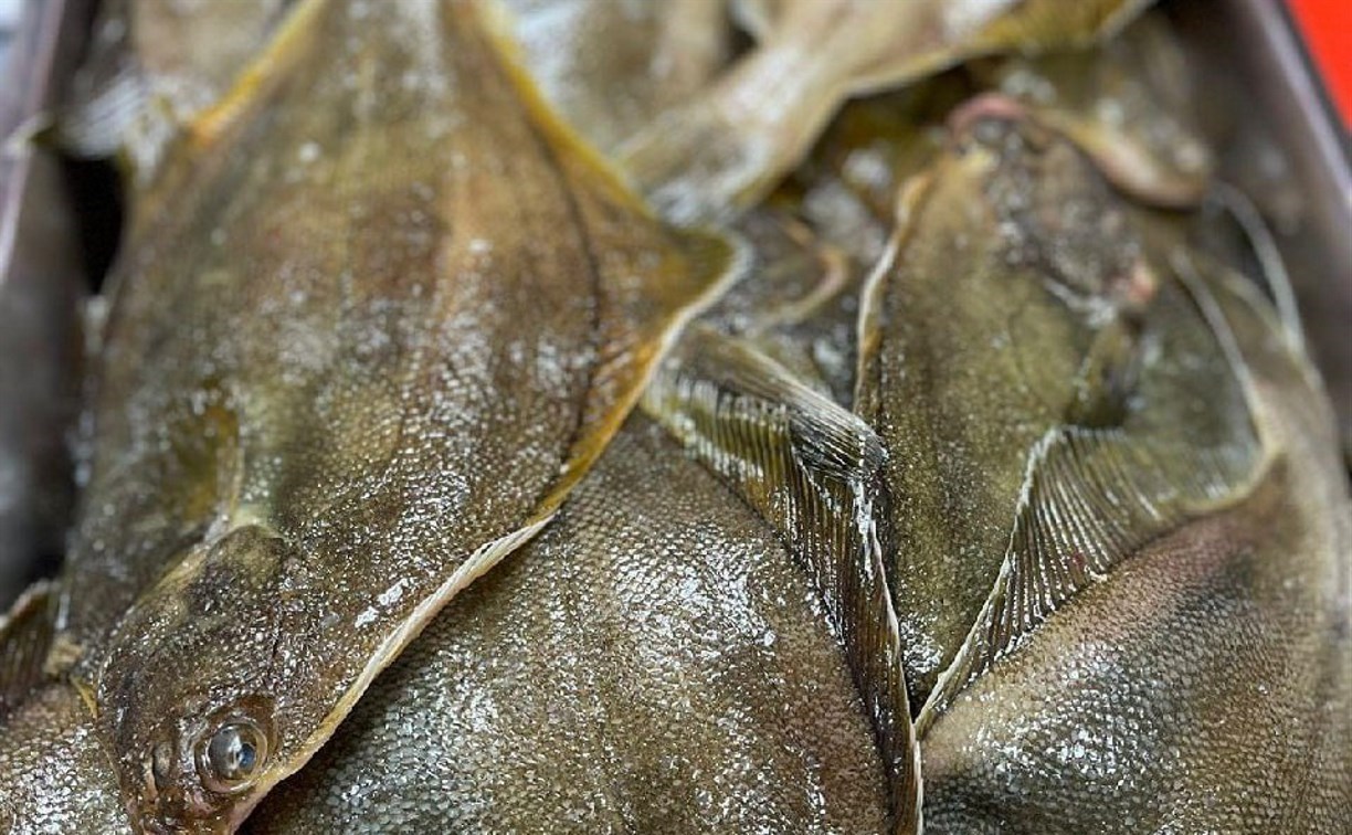 Жителей Южно-Сахалинска приглашают за камбалой