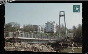 Общество
