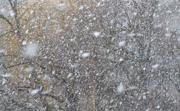 Метель разгуляется на Сахалине к обеду - синоптики