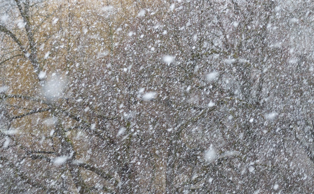 Метель разгуляется на Сахалине к обеду - синоптики