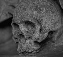 В заброшенном гараже в Южно-Сахалинске нашли скелет бездомного