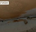 Житель Камчатки отсудил за плесень в квартире почти полмиллиона рублей